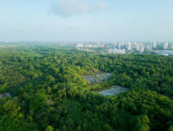Créez Votre Propre Compost Maison : La Clé d'une Permaculture Riche et Écologique