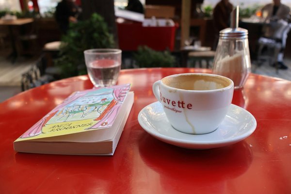 La Fascinante Évolution des Manga Cafés : Plongée au Cœur de la Culture Japonaise